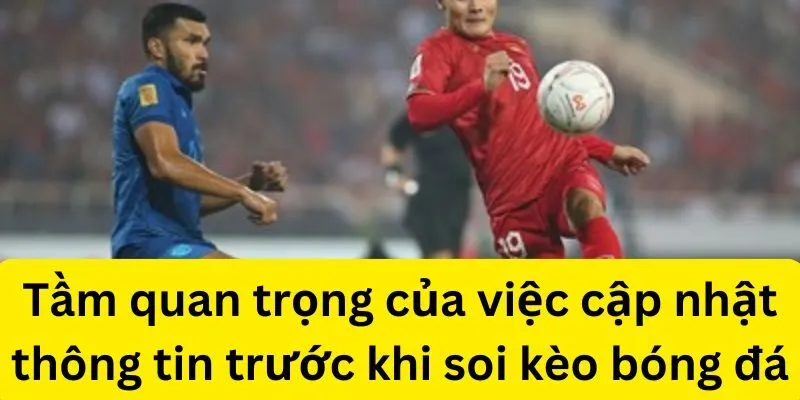 Tầm quan trọng của việc cập nhật thông tin trước khi soi kèo bóng đá