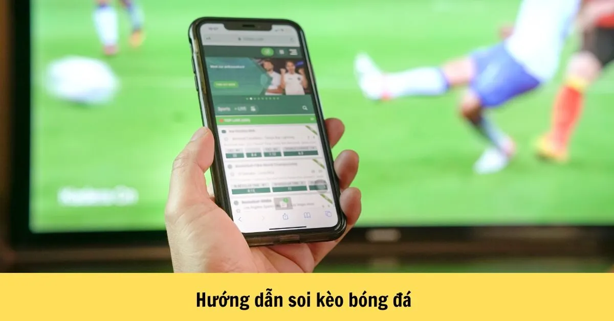 Hướng Dẫn Soi Kèo Bóng Đá